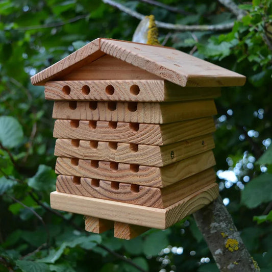 Blütenwächter Bienenhaus